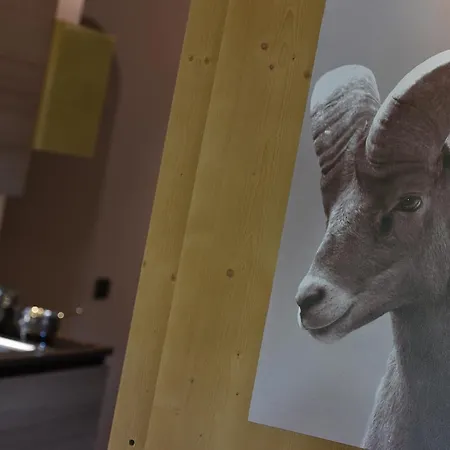 Goloseria Apartment *